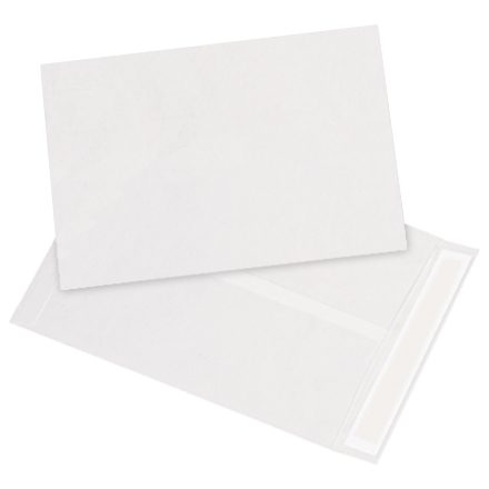 9 <span class='fraction'>1/2</span> x 12 <span class='fraction'>1/2</span>" White Flat Tyvek<span class='rtm'>®</span> Envelopes